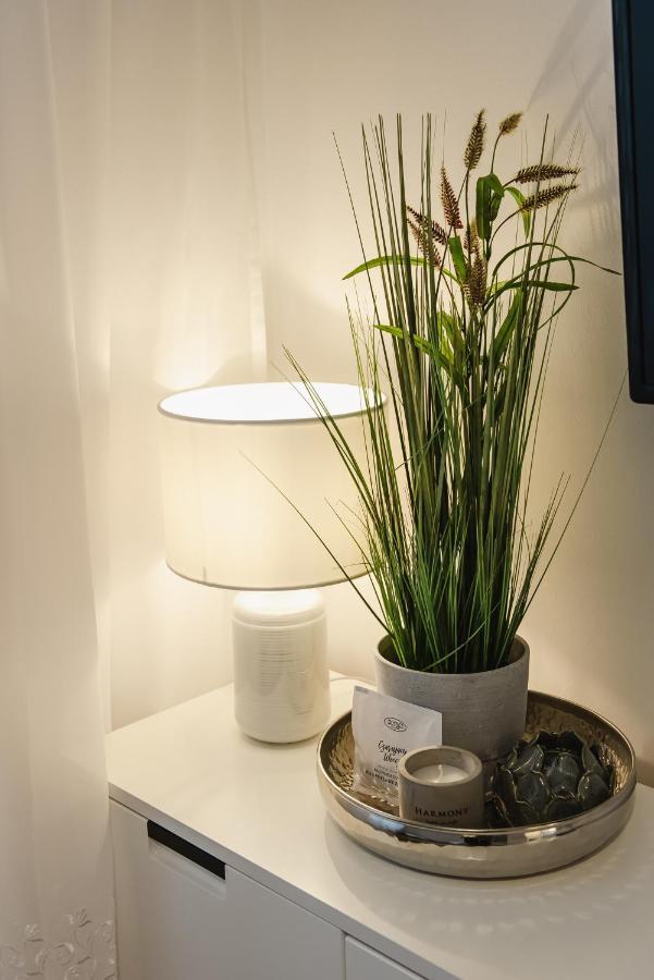 Apartament Witkiewicza Sanok Extérieur photo